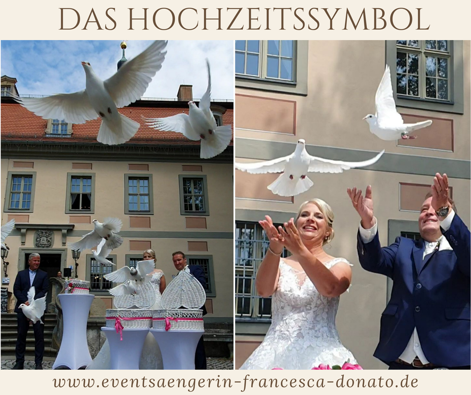Hochzeitsgesang der Event- und Hochzeitssängerin Francesca Donato im Schloss Machern - Flug der Hochzeitstauben 
